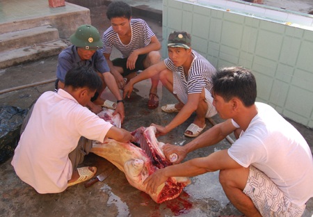 Một ngày ở Song Tử Tây - 5 Một ngày ở Song Tử Tây - 5