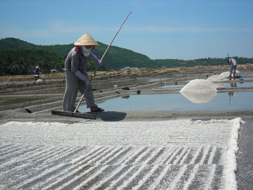 Muối Quảng Ngãi “sốt” vì... phóng xạ - 1