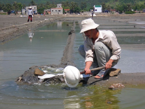 Muối Quảng Ngãi “sốt” vì... phóng xạ - 2