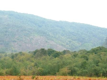 Bệnh ung thư ám ảnh thôn nghèo - 5