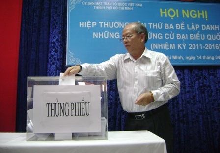 Hồng Ánh lọt vào danh sách 41 người ứng cử đại biểu Quốc hội - 2