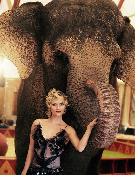 Những người đẹp nhất thế giới - 3