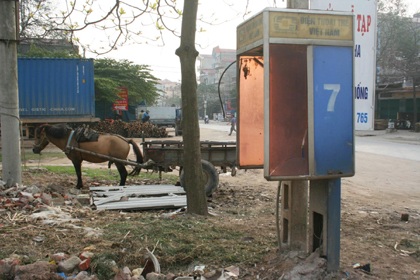 Thu hồi dần các bốt điện thoại thẻ “chết yểu” tại Bắc Ninh - 7