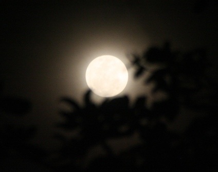 Ngắm “siêu mặt trăng” tại Huế - 7