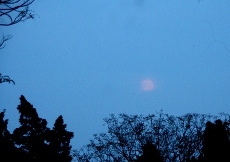 Ngắm “siêu mặt trăng” tại Huế - 1