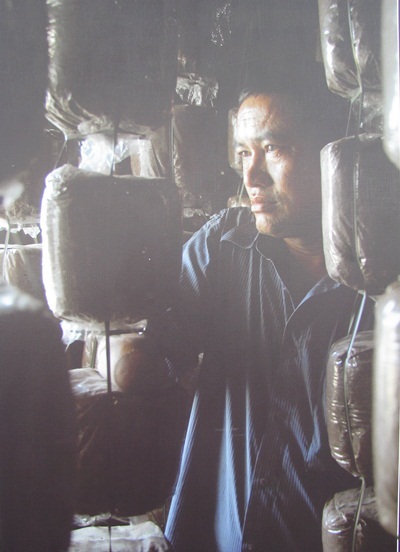 Lay động lòng người hình ảnh “Cuộc sống và Nghị lực” - 8