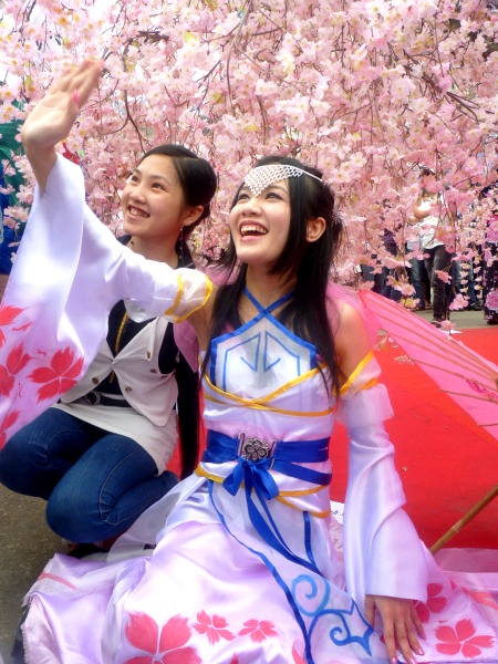 Thiếu nữ Hà thành khoe sắc bên hoa anh đào - 11 Thiếu nữ Hà thành khoe sắc bên hoa anh đào - 11