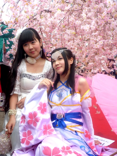 Thiếu nữ Hà thành khoe sắc bên hoa anh đào - 12 Thiếu nữ Hà thành khoe sắc bên hoa anh đào - 12