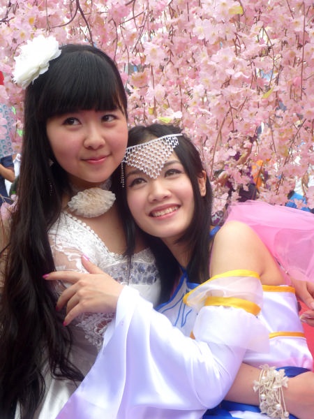 Thiếu nữ Hà thành khoe sắc bên hoa anh đào - 14 Thiếu nữ Hà thành khoe sắc bên hoa anh đào - 14