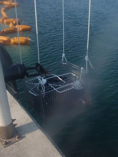 Ảnh mới nhất về nhà máy điện hạt nhân Fukushima I - 23