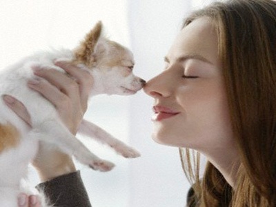 Học được gì từ thú cưng nhà bạn? - 1