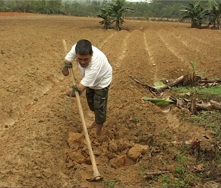 Gặp “vua” bơi lội, tỉ phú trồng rừng… không tay - 2