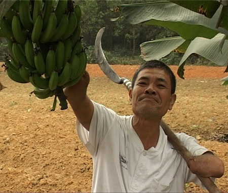 Gặp “vua” bơi lội, tỉ phú trồng rừng… không tay - 3