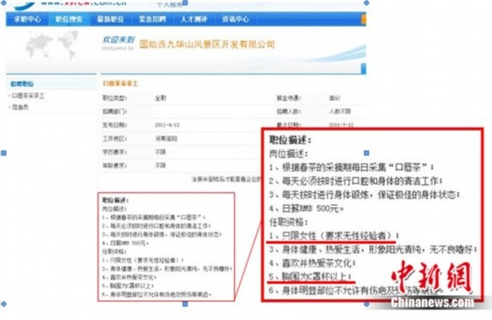 Xôn xao quảng cáo tuyển trinh nữ... hái trà - 1 Xôn xao quảng cáo tuyển trinh nữ... hái trà - 1