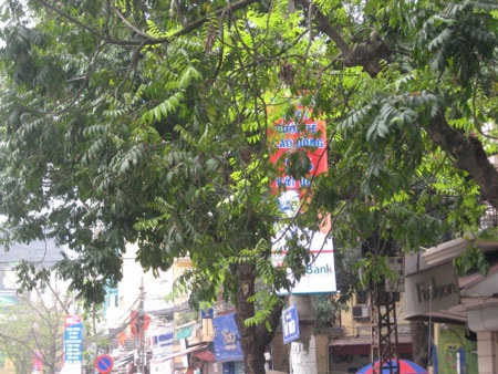 Hà Nội: Pano, áp phích treo kiểu “oái oăm” - 3 Hà Nội: Pano, áp phích treo kiểu “oái oăm” - 3