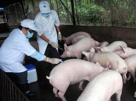 Bộ trưởng Bộ NN&PTNT “lệnh” tập trung dập dịch LMLM - 1 Bộ trưởng Bộ NN&PTNT “lệnh” tập trung dập dịch LMLM - 1