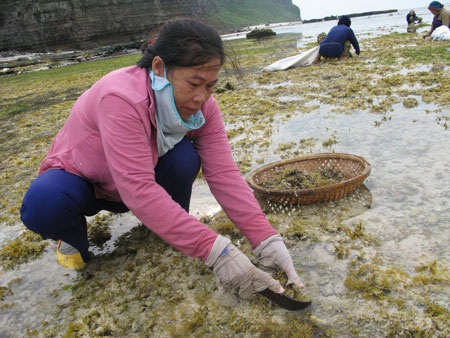 Nhọc nhằn rong mơ - 2