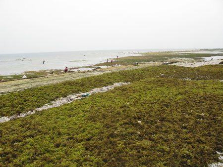 Nhọc nhằn rong mơ - 3