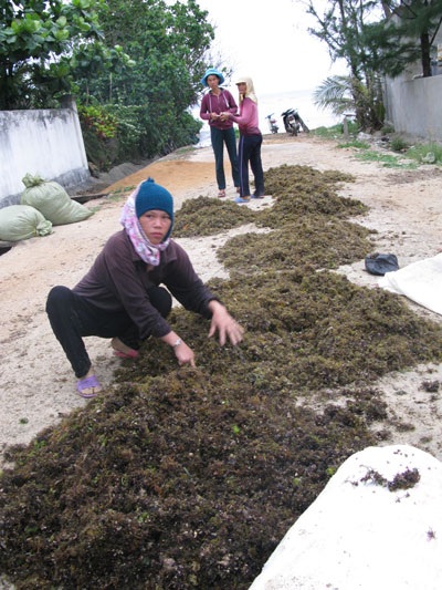 Nhọc nhằn rong mơ - 4