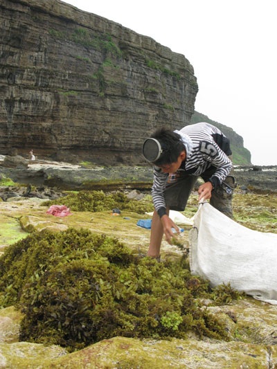 Nhọc nhằn rong mơ - 5