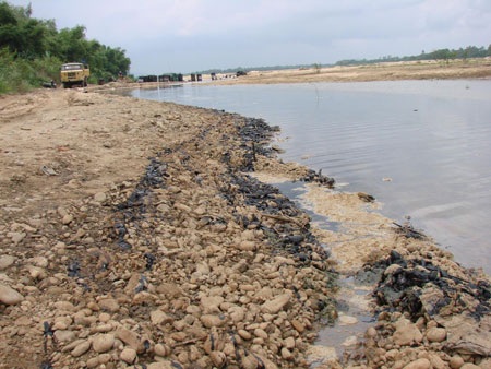 Tràn dầu FO, sông Trà Khúc bị đe dọa - 5 Tràn dầu FO, sông Trà Khúc bị đe dọa - 5