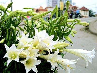 Ngọt ngào tháng Tư - 1