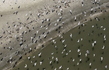 Những hình ảnh nổi bật tuần qua - 14