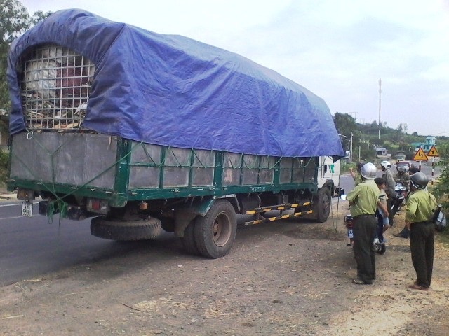 “Ngụy trang” bằng hàng phế liệu để vận chuyển gỗ lậu - 1