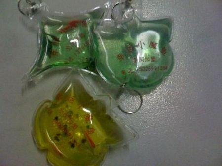 Rùa, cá sống trong móc khóa - 3