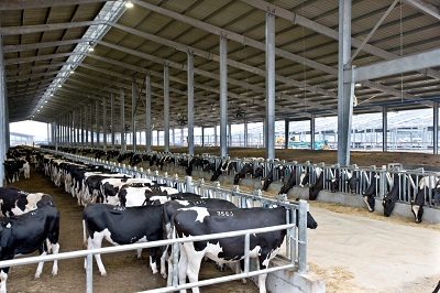 TH true MILK - Điểm sáng mới cho ngành sữa tươi sạch tại Việt Nam - 1