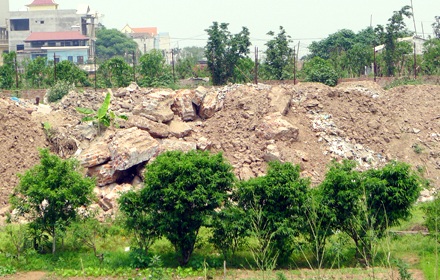 Xót thương thân phận vườn đào - 5 Xót thương thân phận vườn đào - 5