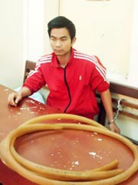 Đột nhập bãi đỗ xe buýt, “hút” 200 lít dầu diezel - 1 Đột nhập bãi đỗ xe buýt, “hút” 200 lít dầu diezel - 1