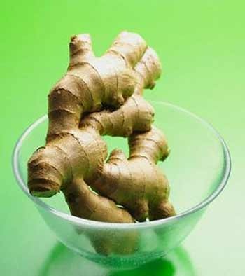 Bị viêm khớp nên ăn nhiều gừng - 1
