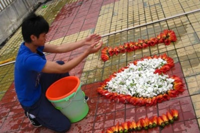 Màn tỏ tình lãng mạn bằng hoa gạo - 2 Màn tỏ tình lãng mạn bằng hoa gạo - 2