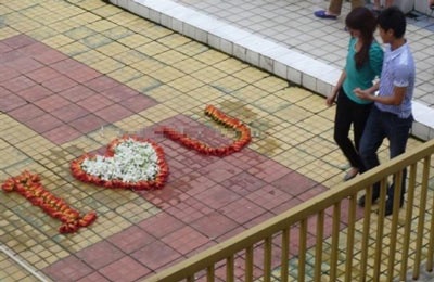 Màn tỏ tình lãng mạn bằng hoa gạo - 3 Màn tỏ tình lãng mạn bằng hoa gạo - 3