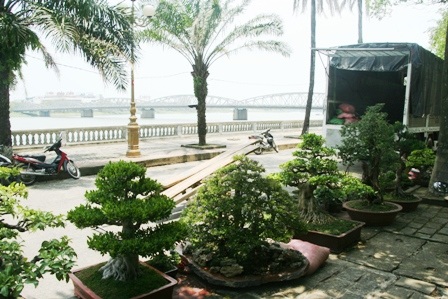 Cho phép xe trọng tải lớn phục vụ Festival lưu thông vào thành phố - 3