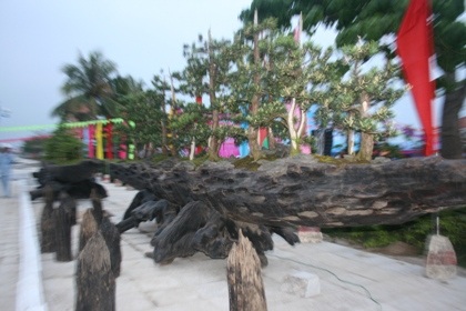 Chiêm ngưỡng đội sinh vật cảnh “khủng” tại Carnaval Hạ Long - 2