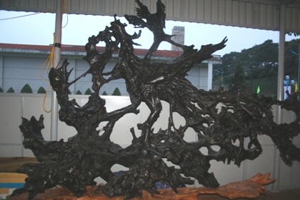 Chiêm ngưỡng đội sinh vật cảnh “khủng” tại Carnaval Hạ Long - 6