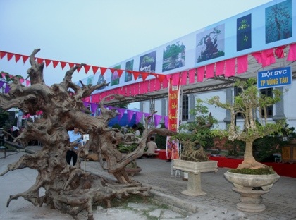 Chiêm ngưỡng đội sinh vật cảnh “khủng” tại Carnaval Hạ Long - 1