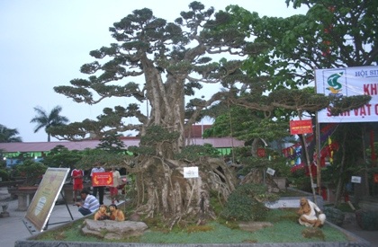 Chiêm ngưỡng đội sinh vật cảnh “khủng” tại Carnaval Hạ Long - 4