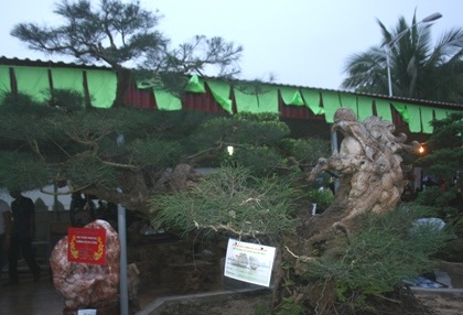 Chiêm ngưỡng đội sinh vật cảnh “khủng” tại Carnaval Hạ Long - 5