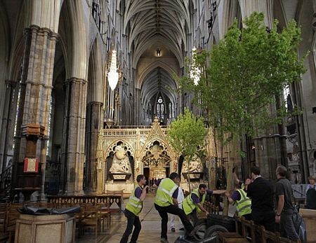 Nước Anh rộn ràng trước đám cưới thế kỷ - 7