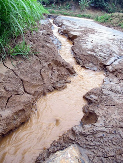 Lời kêu cứu khẩn thiết từ hồ Ba Bể - 2