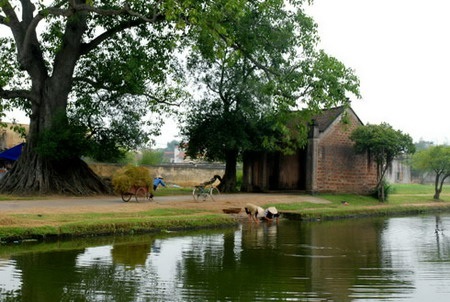 Bạn đọc nói gì về “người nhà quê”? - 1