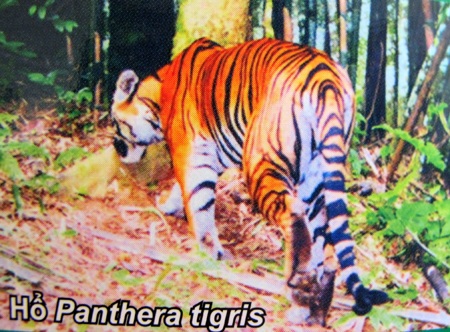 Nghệ An: Công bố quyết định công nhận Khu dự trữ sinh quyển miền Tây - 8