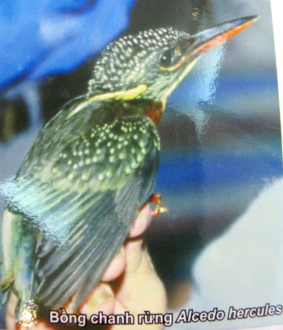 Nghệ An: Công bố quyết định công nhận Khu dự trữ sinh quyển miền Tây - 4