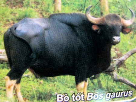 Nghệ An: Công bố quyết định công nhận Khu dự trữ sinh quyển miền Tây - 5