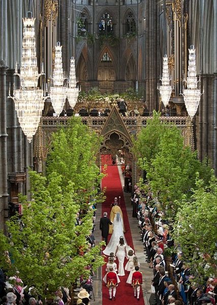 Những khuôn hình tuyệt đẹp về đám cưới thế kỷ - 5