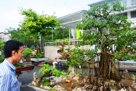 Mãn nhãn với hàng trăm cây cảnh khoe mình bên dòng Hương - 12