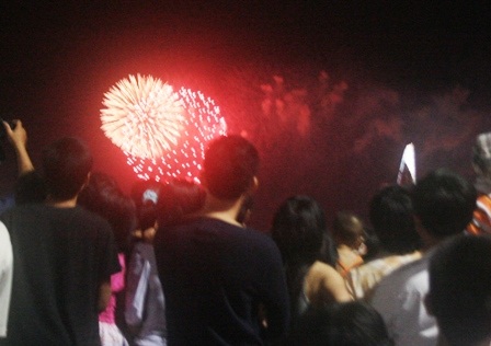 TPHCM: Rộn ràng đêm pháo hoa mừng ngày Thống nhất - 4